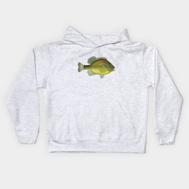 Dollar Sunfish Kids Hoodie by FishFolkArt